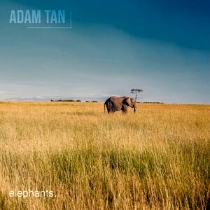 Adam Tan – Famous Fifteen Minutes
