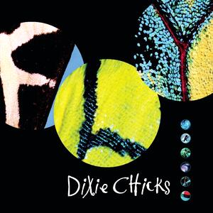 Dixie Chicks – Ready to run