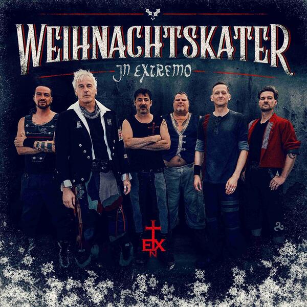 Weihnachtskater