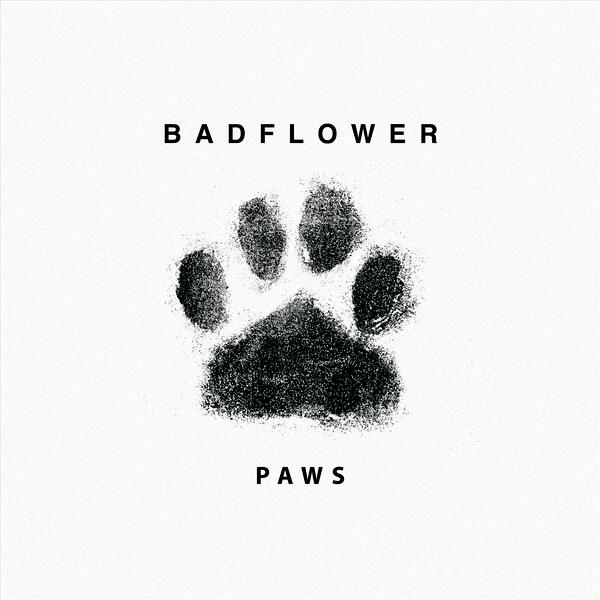 Paws
