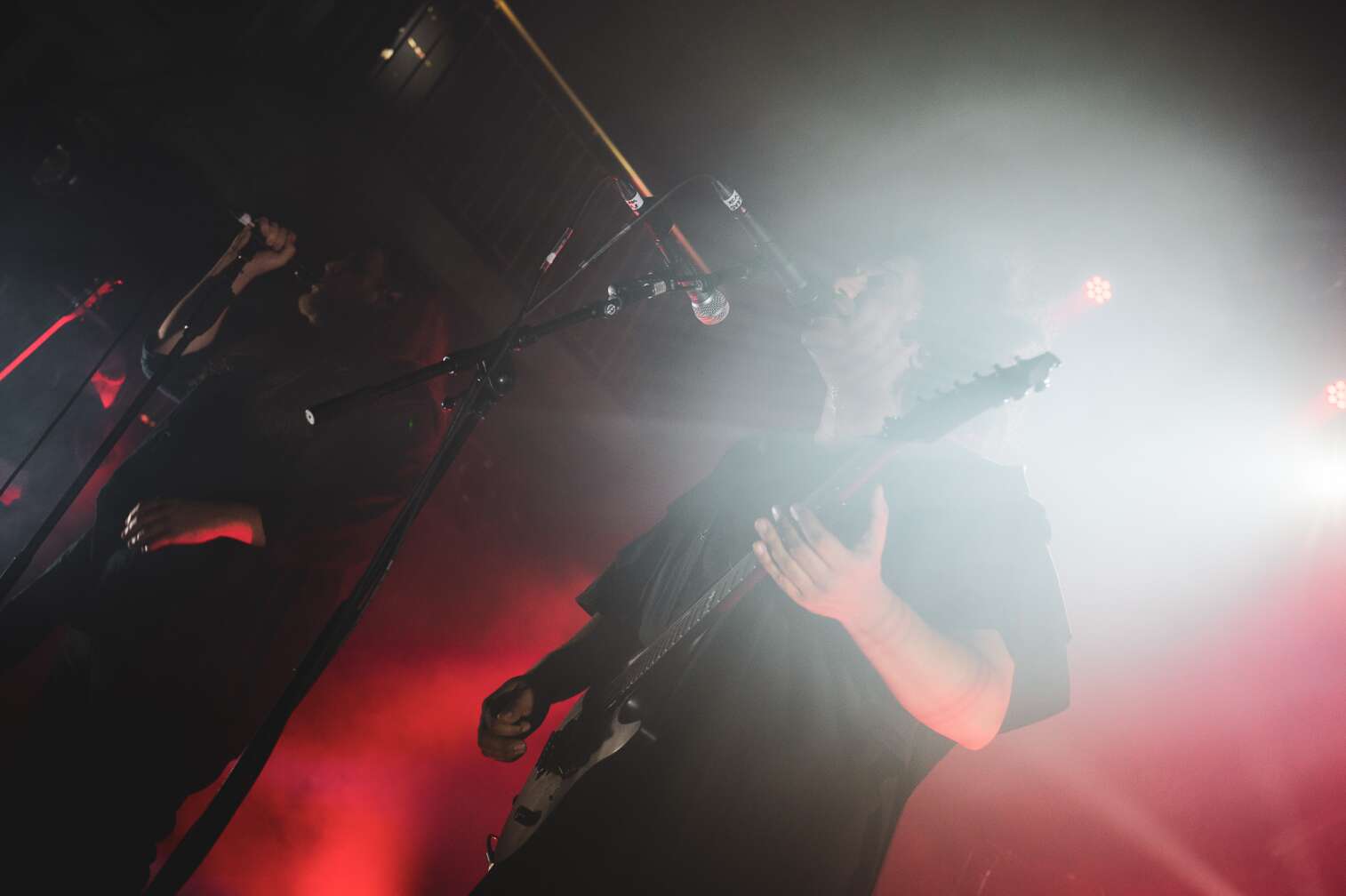 Konzertfotos von Zeal and Ardor
