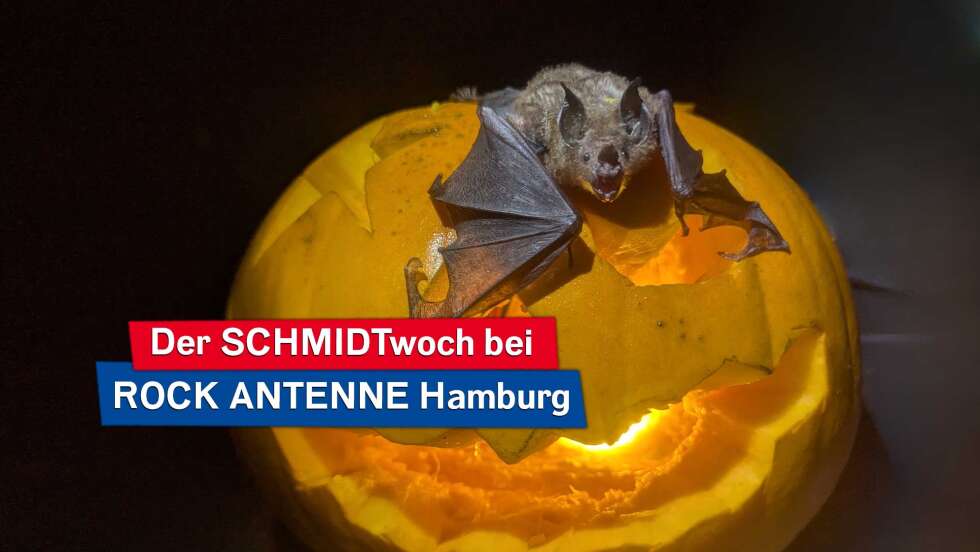 SCHMIDTwoch am 29.10.: Halloween im Noctalis Fledermaus Zentrum!