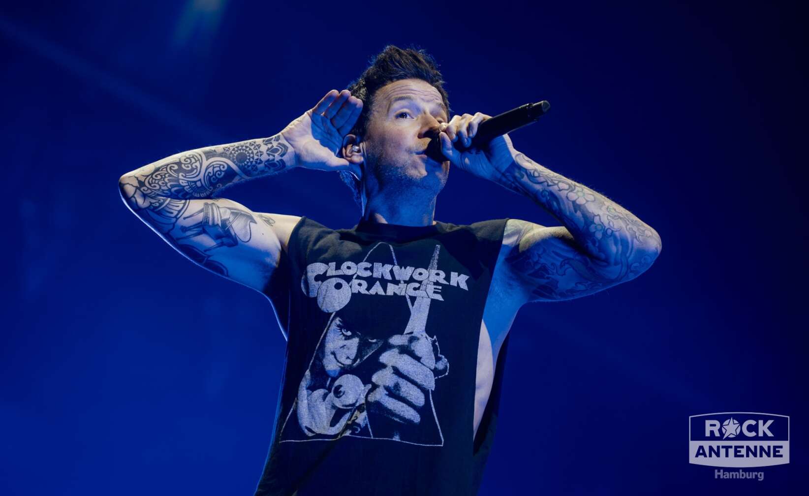 Konzertfotos von Simple Plan