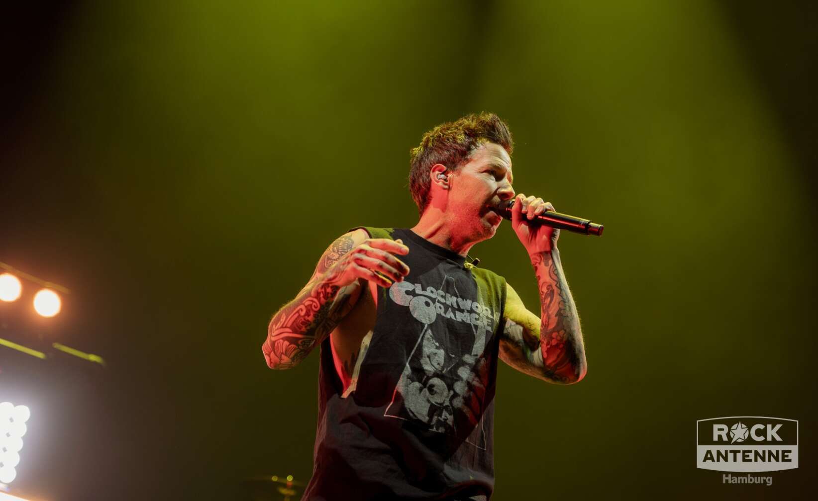 Konzertfotos von Simple Plan