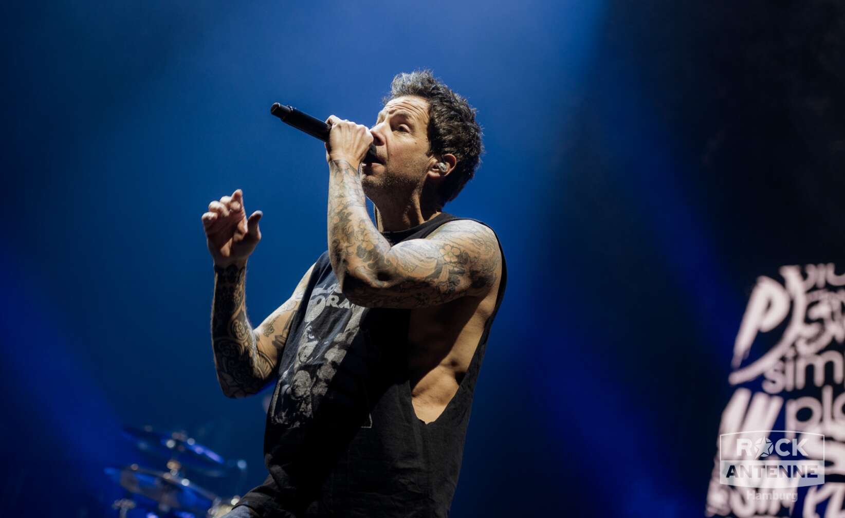 Konzertfotos von Simple Plan