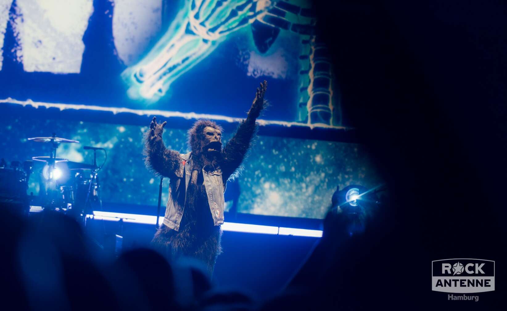 Konzertfotos von The Offspring