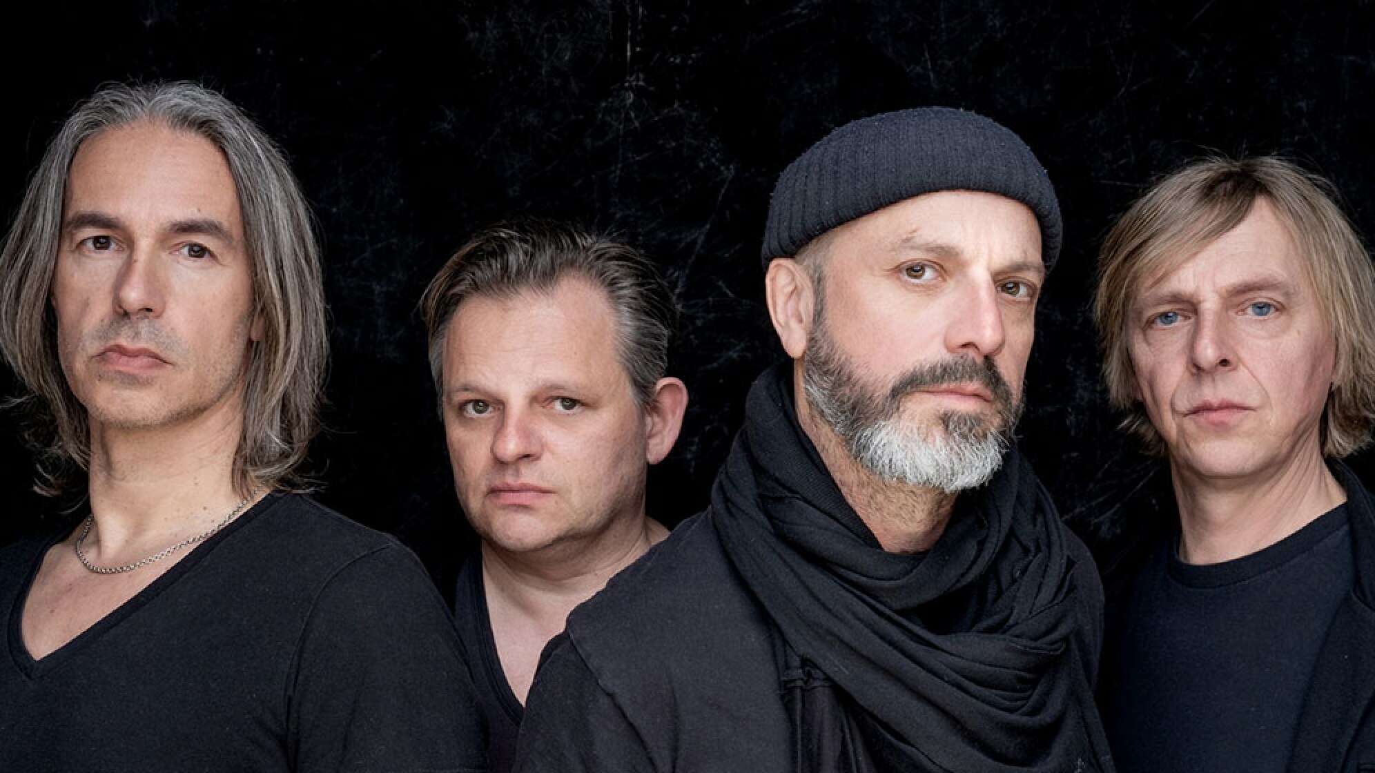 Bandfoto von Selig