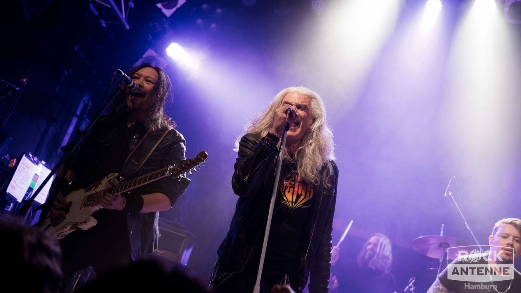 Konzertfotos von King Zebra