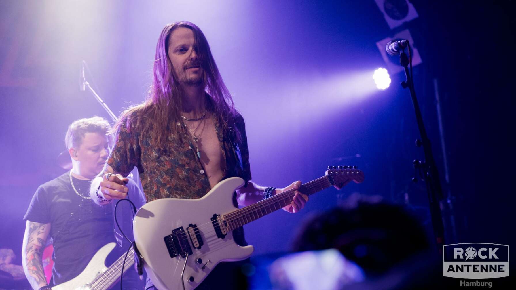 Konzertfotos von King Zebra