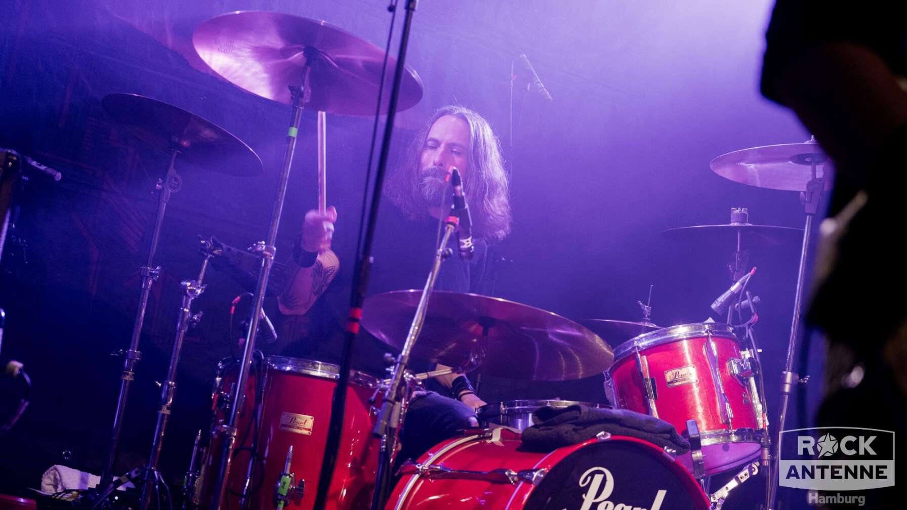 Konzertfotos von King Zebra