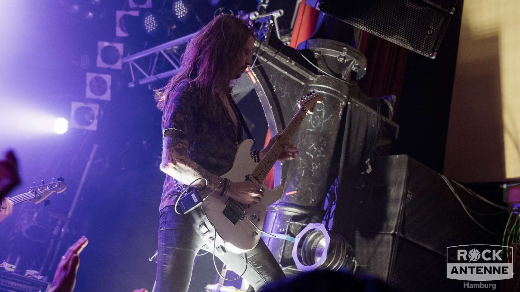 Konzertfotos von King Zebra