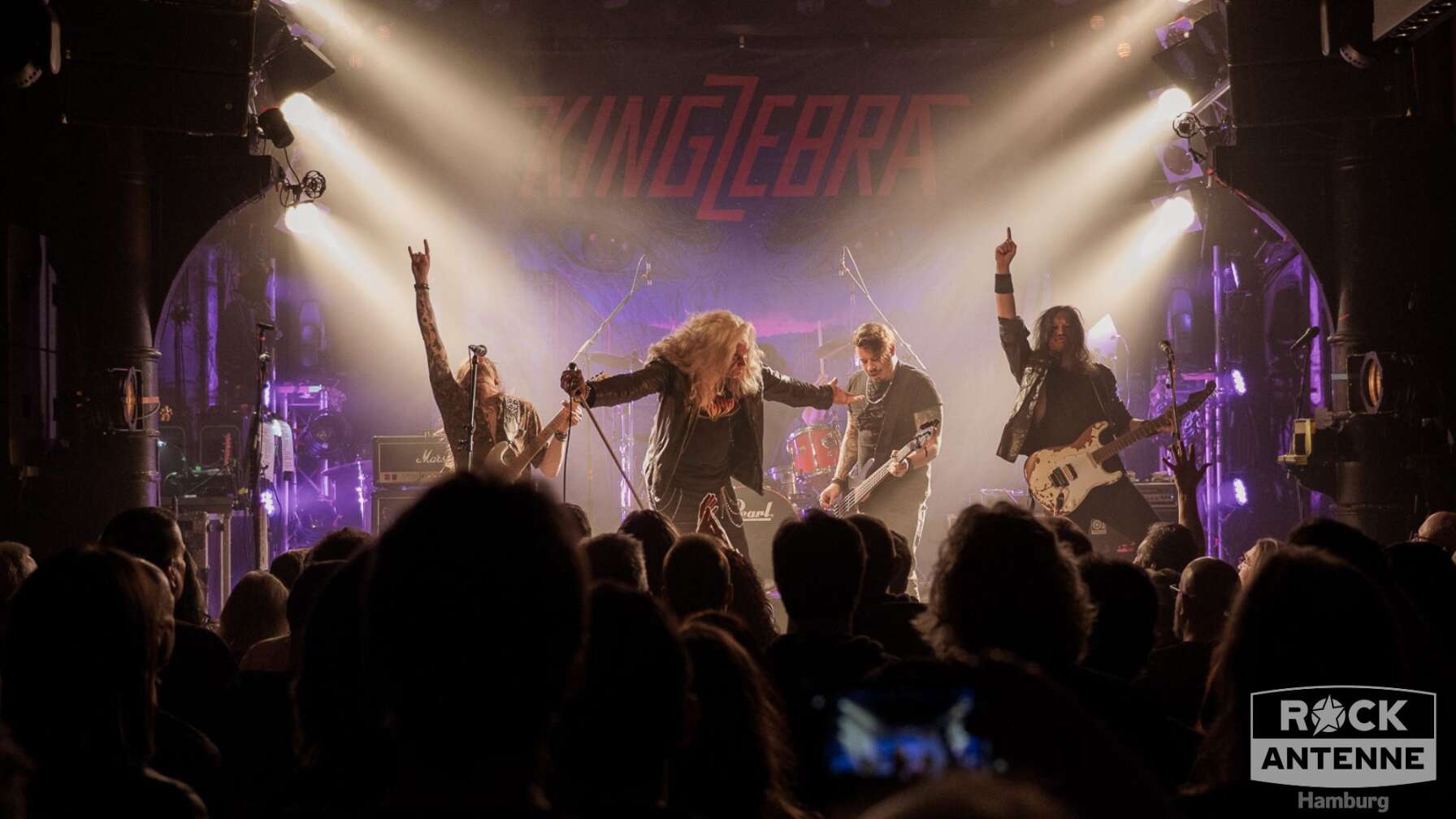 Konzertfotos von King Zebra