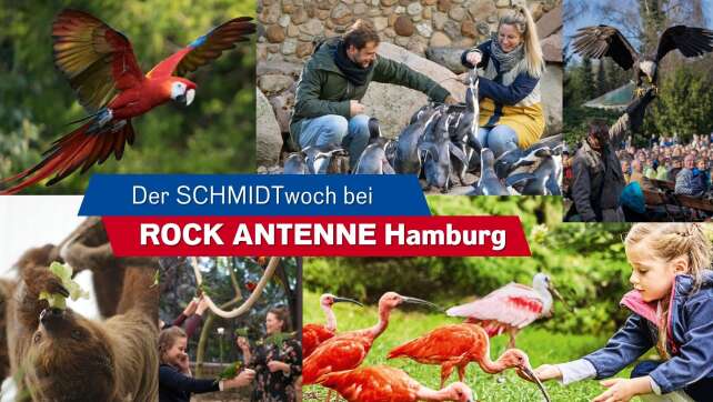 SCHMIDTwoch am 26.08.: Wir schicken euch zum Weltvogelpark Walsrode!