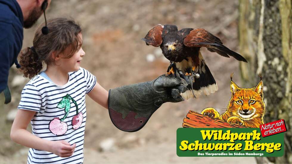 Der tierische Sommer im Wildpark Schwarze Berge