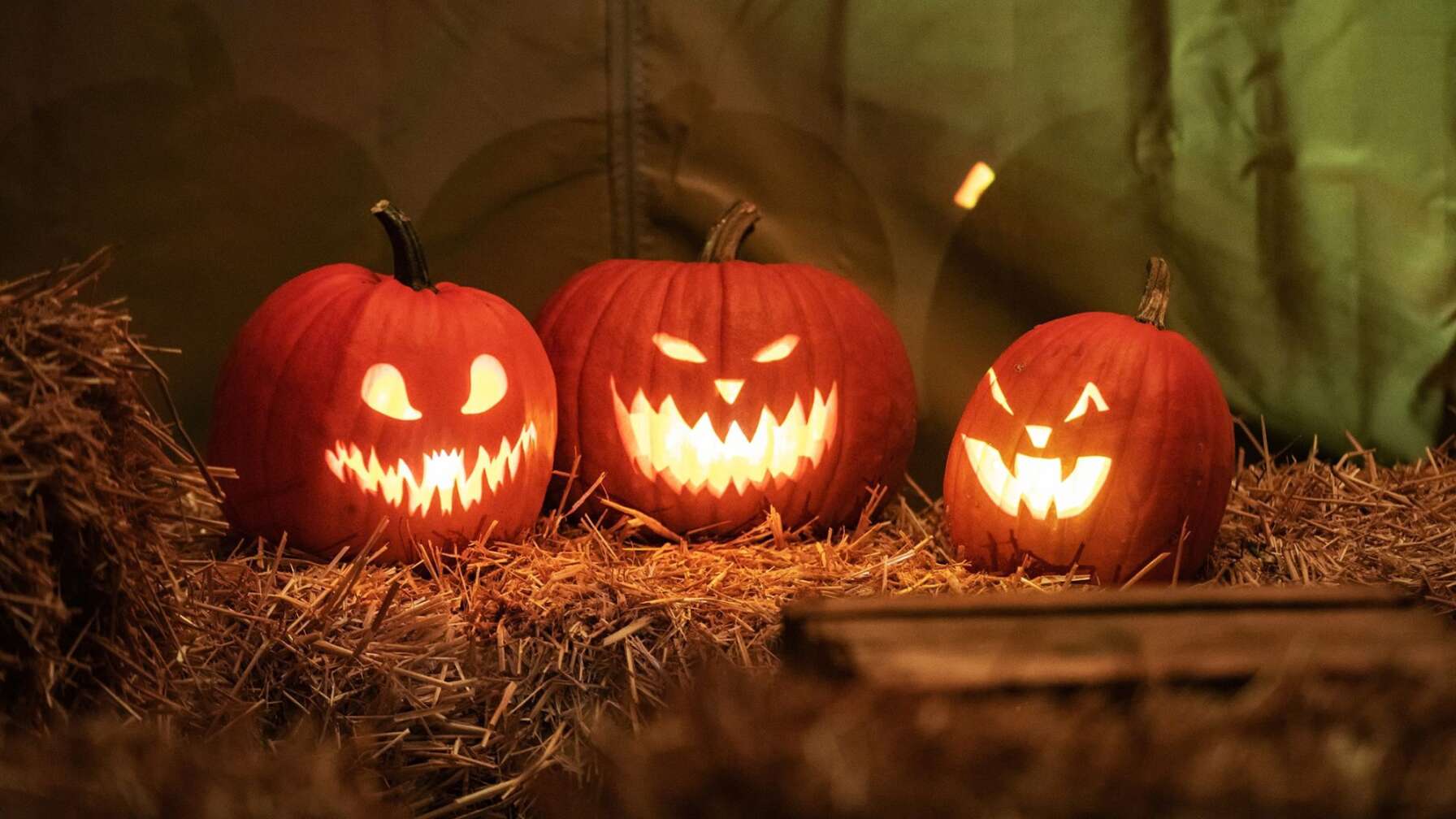 Halloween im Heide Park Resort