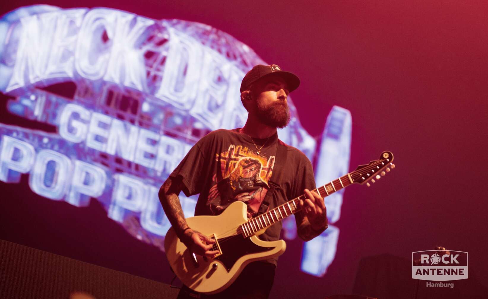 Konzertfotos von Neck Deep