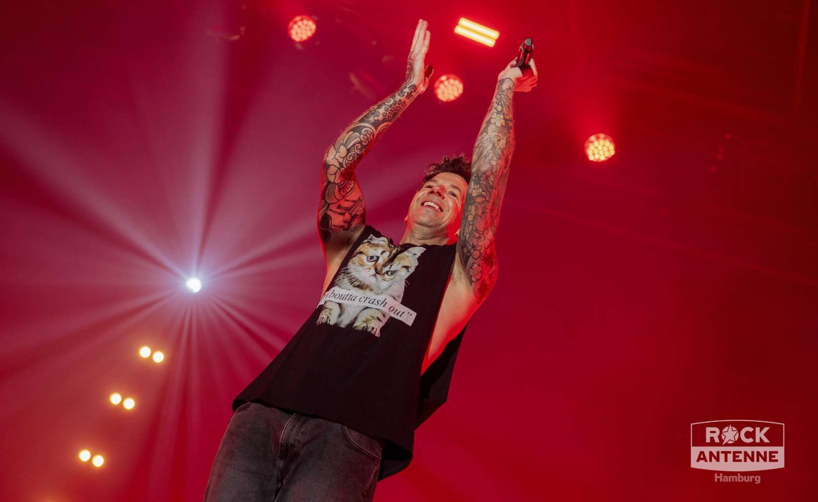 Konzertfotos von Simple Plan