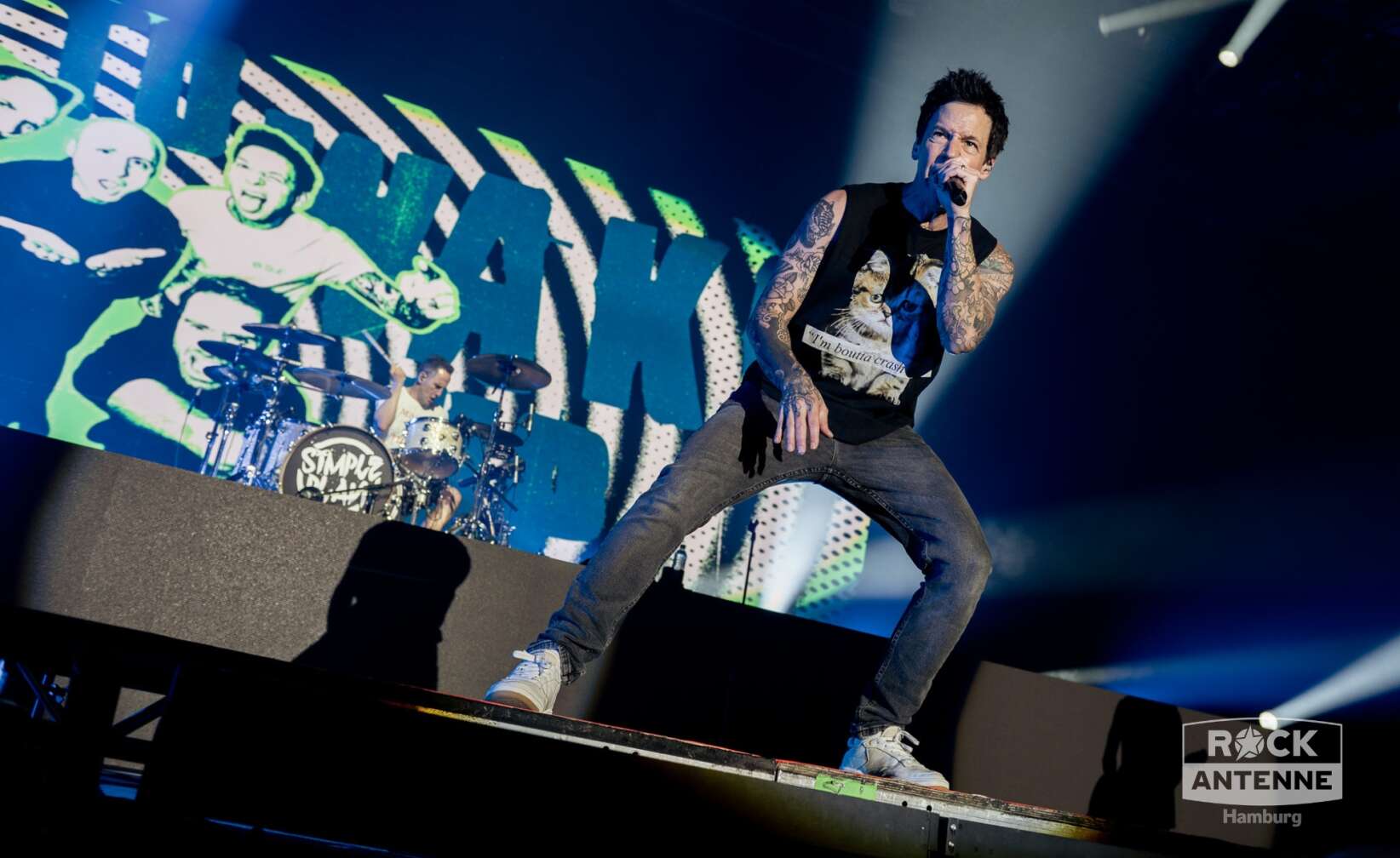 Konzertfotos von Simple Plan