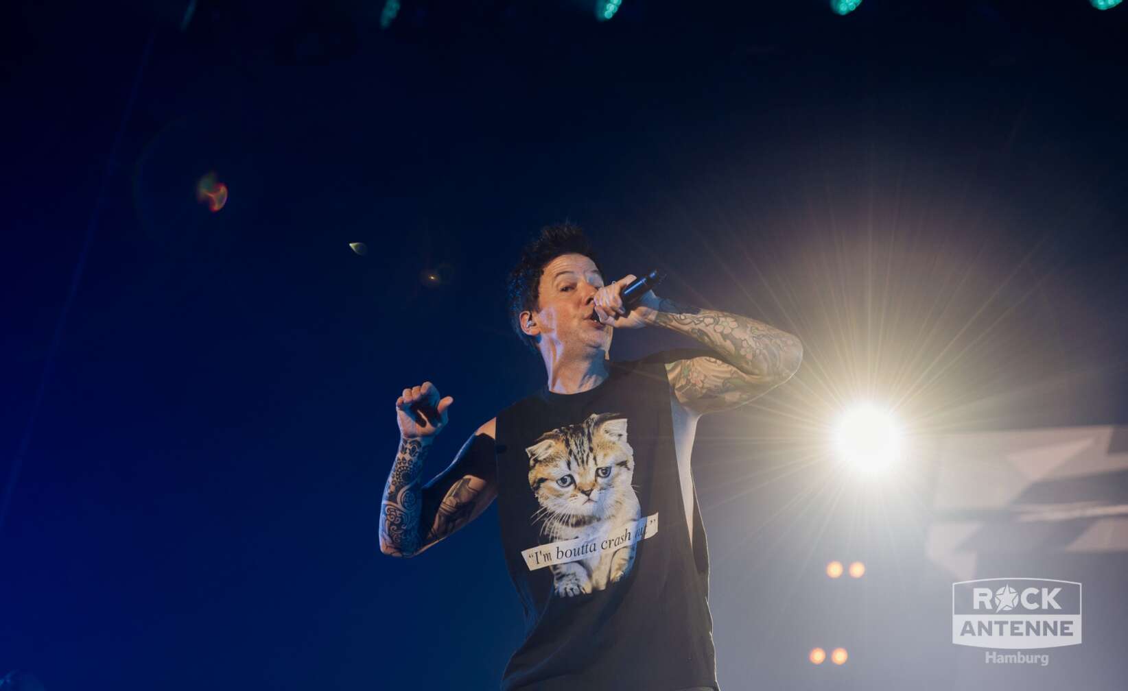 Konzertfotos von Simple Plan
