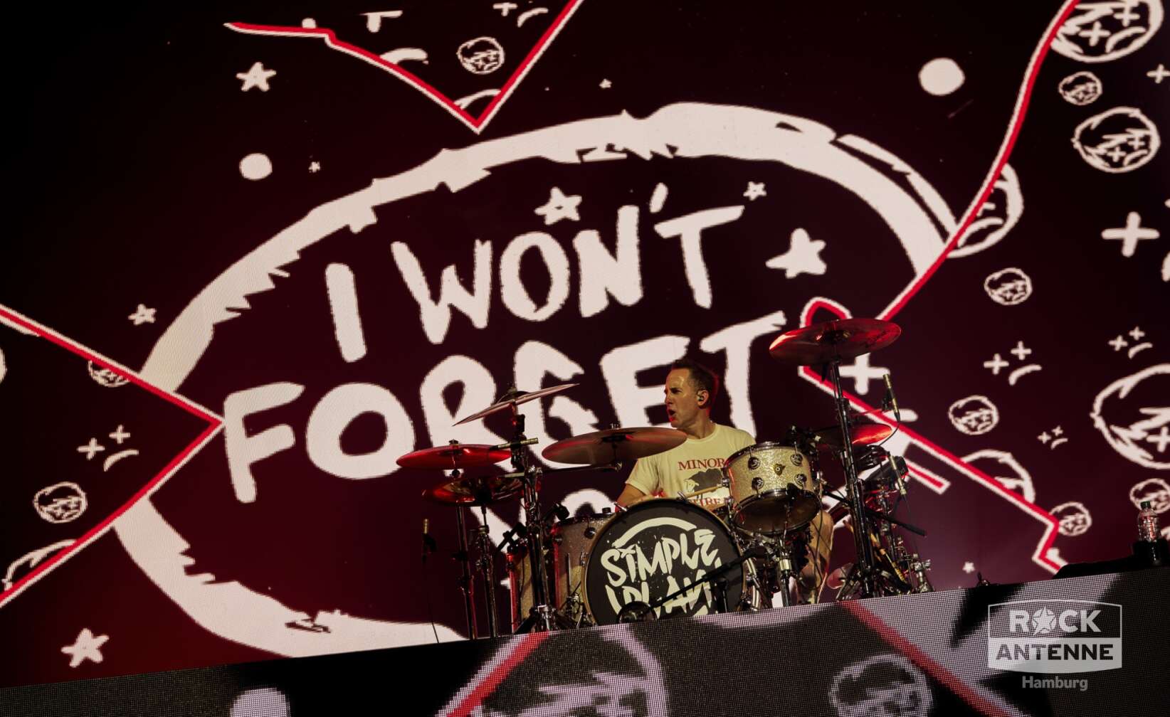 Konzertfotos von Simple Plan