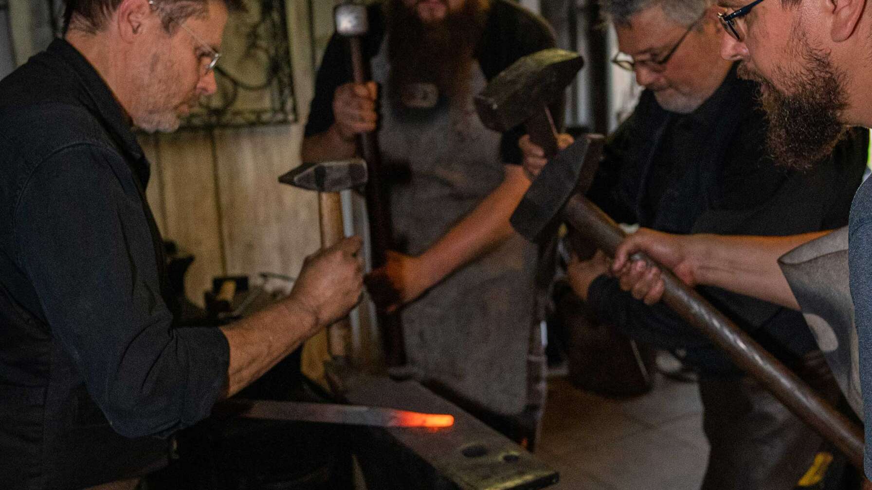 Die Bilder der Aktion