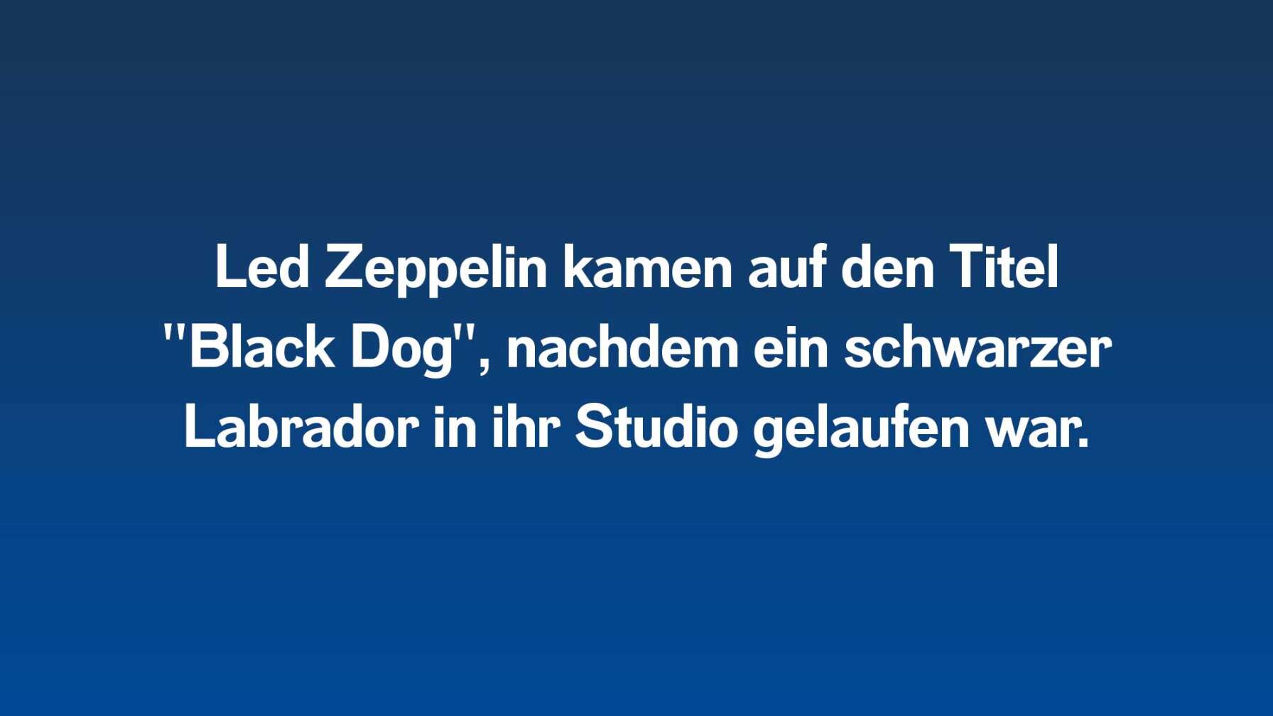 Led Zeppelin kamen auf den Titel  "Black Dog", nachdem ein schwarzer Labrador in ihr Studio gelaufen war.