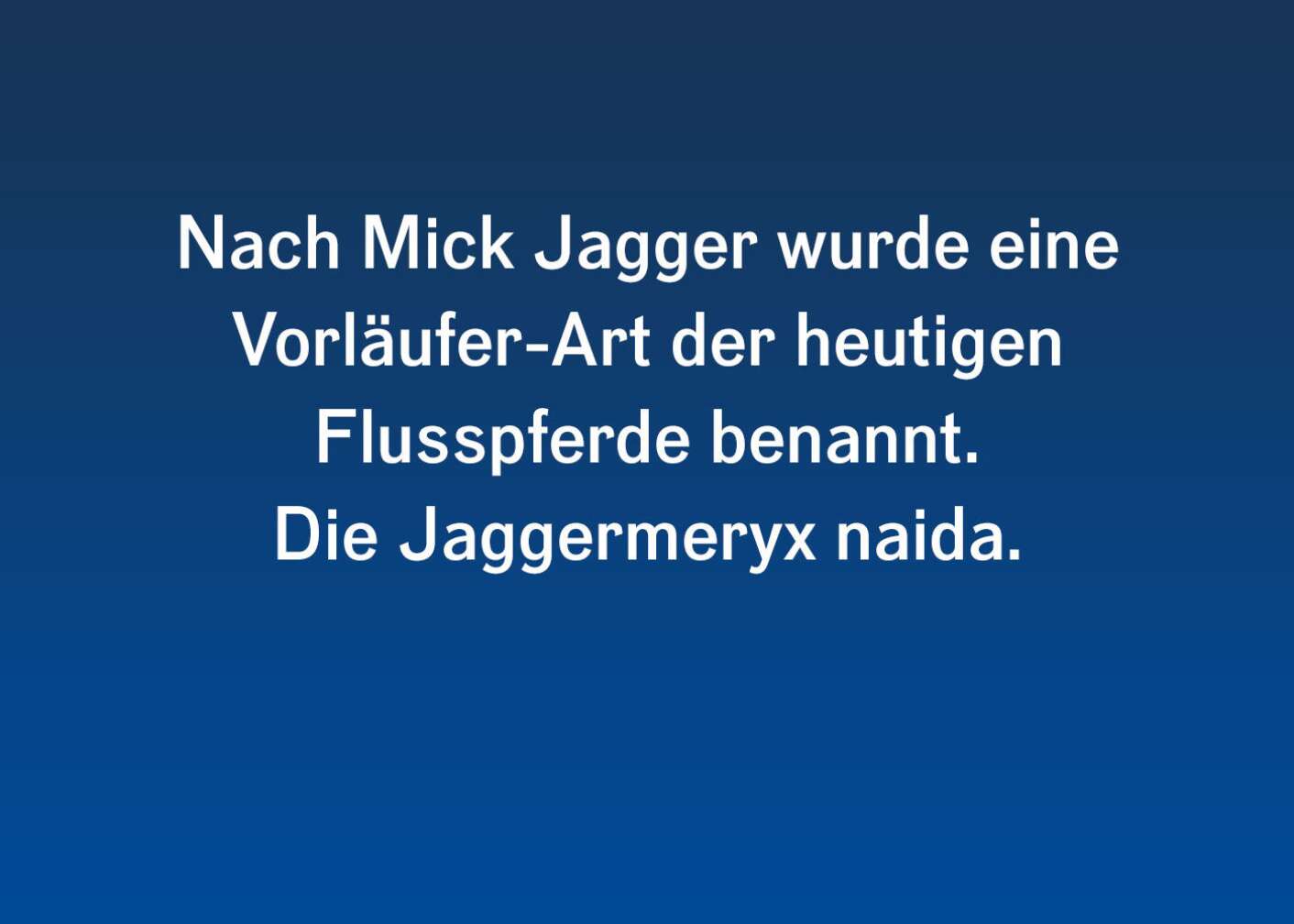 Facts & Stories zu Mick Jagger